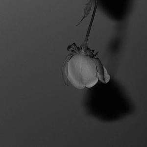 巨大爆乳特乳大乳
