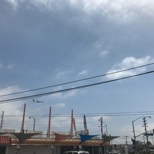 巨大爆乳特乳大乳
